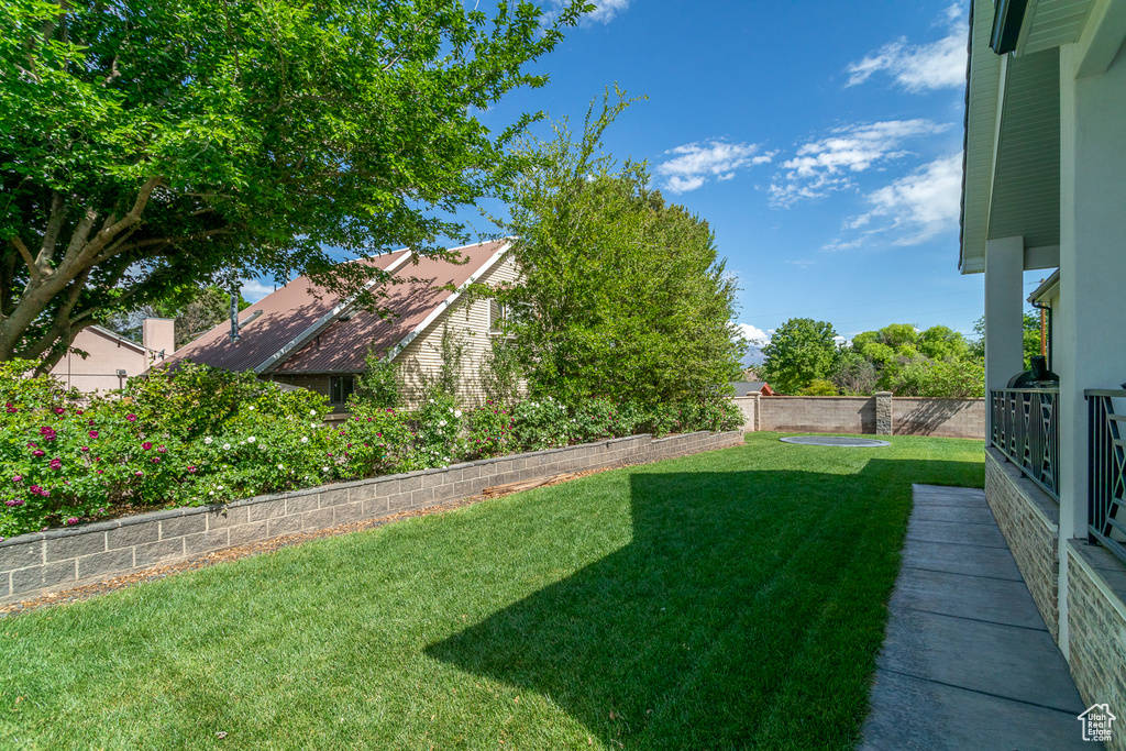 View of yard