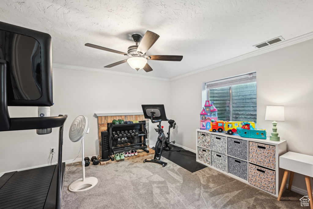 Exercise area with ceiling fan, carpet, crown molding, baseboards, and a textured ceiling