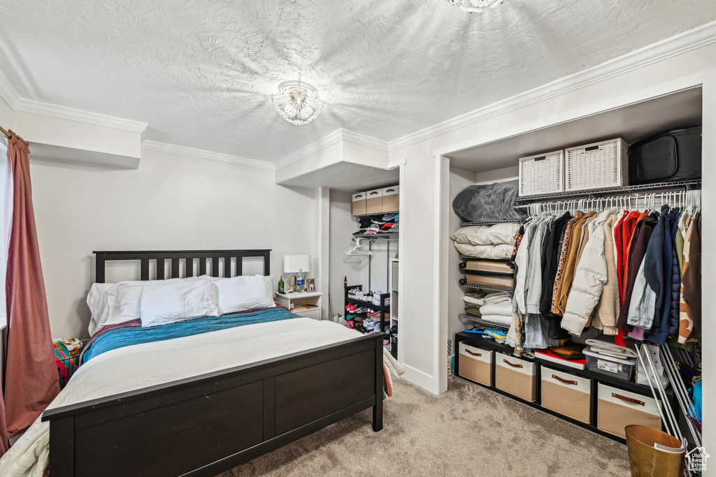 Carpeted bedroom with ornamental molding and a textured ceiling