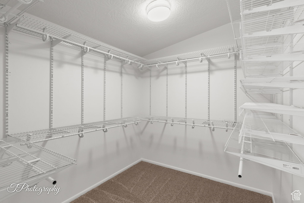 Spacious closet featuring carpet floors and lofted ceiling