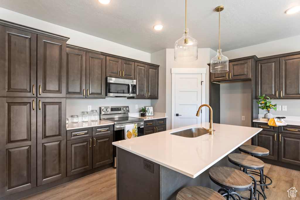 Kitchen with stainless steel appliances, a sink, light wood-type flooring, light countertops, and dark brown cabinetry