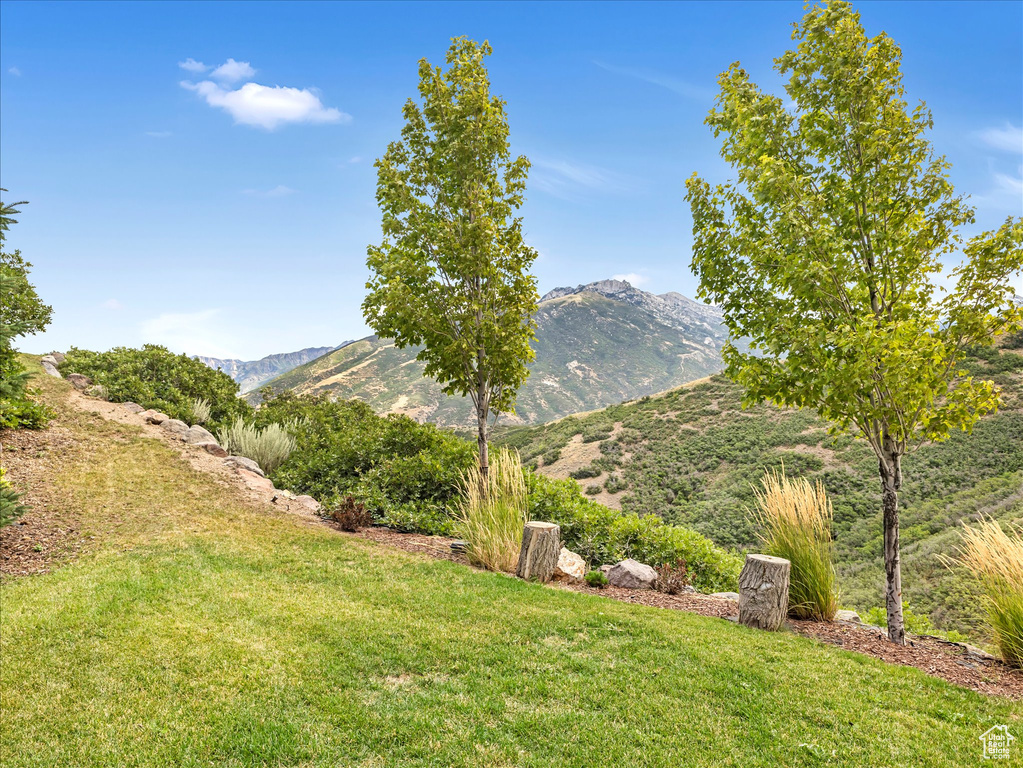 Mountain view