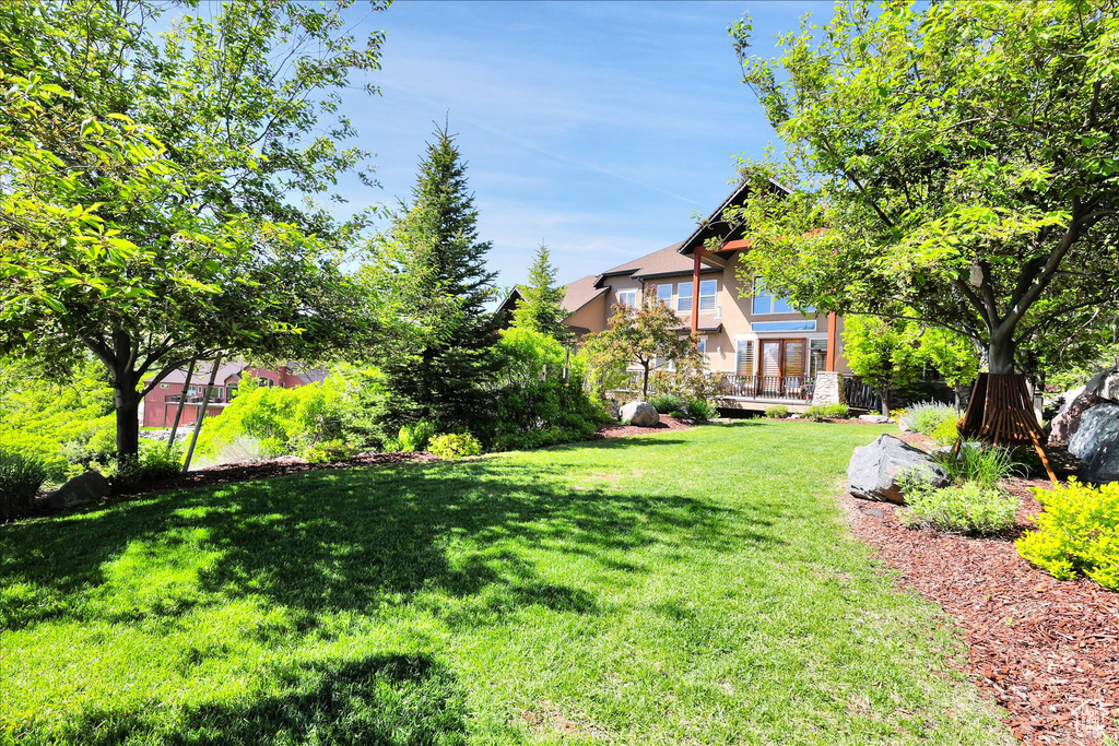 View of grassy yard