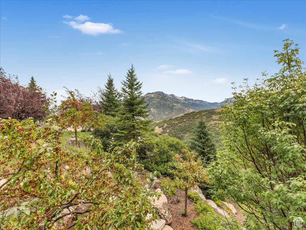 View of mountain backdrop