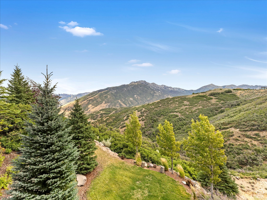 View of mountain background
