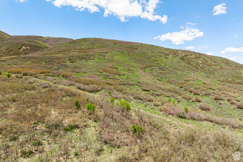 978 S UPLAND LOOP Midway, UT 84049