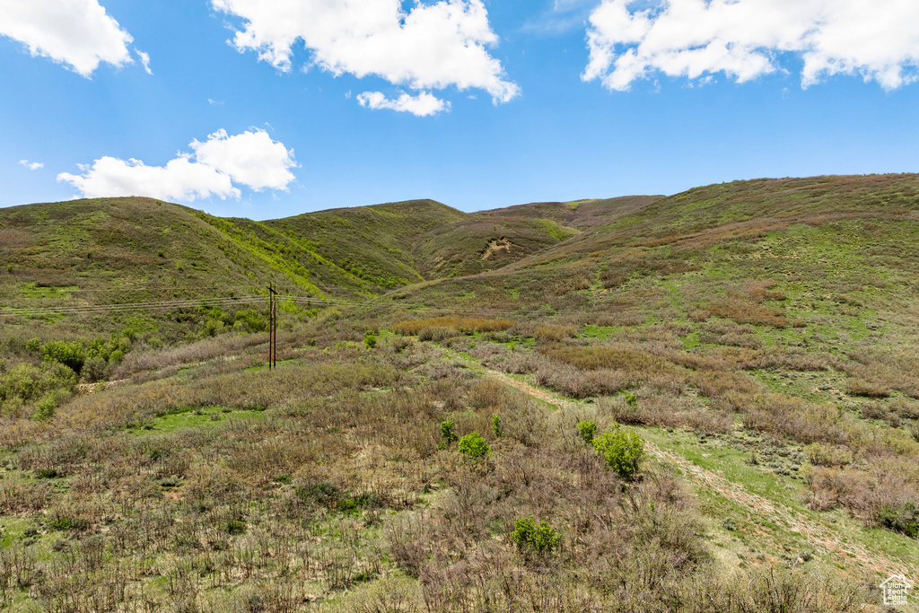 Mountain view
