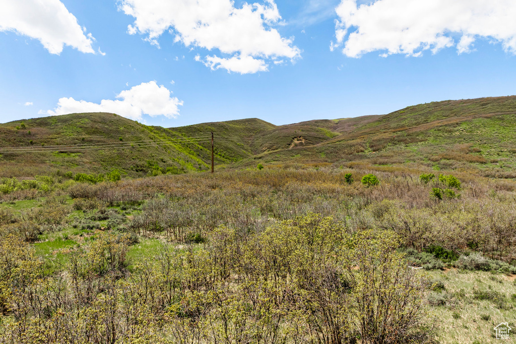 Mountain view