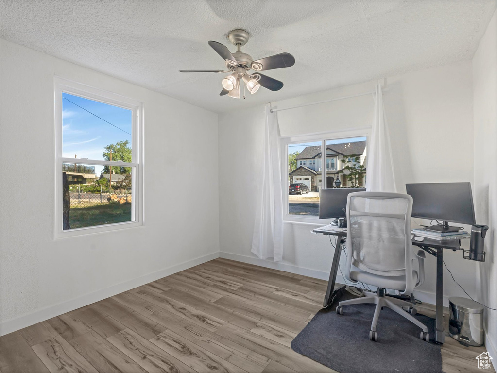 Office area with plenty of natural light, light wood finished floors, ceiling fan, baseboards, and a textured ceiling