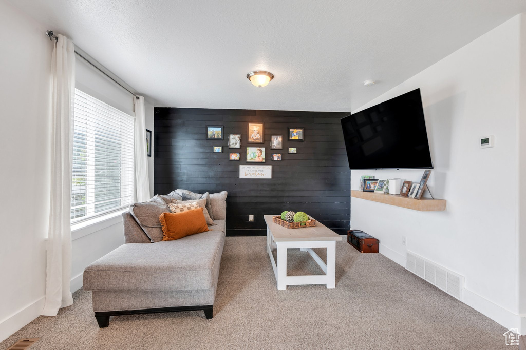 Carpeted living area featuring an accent wall, baseboards, and wooden walls