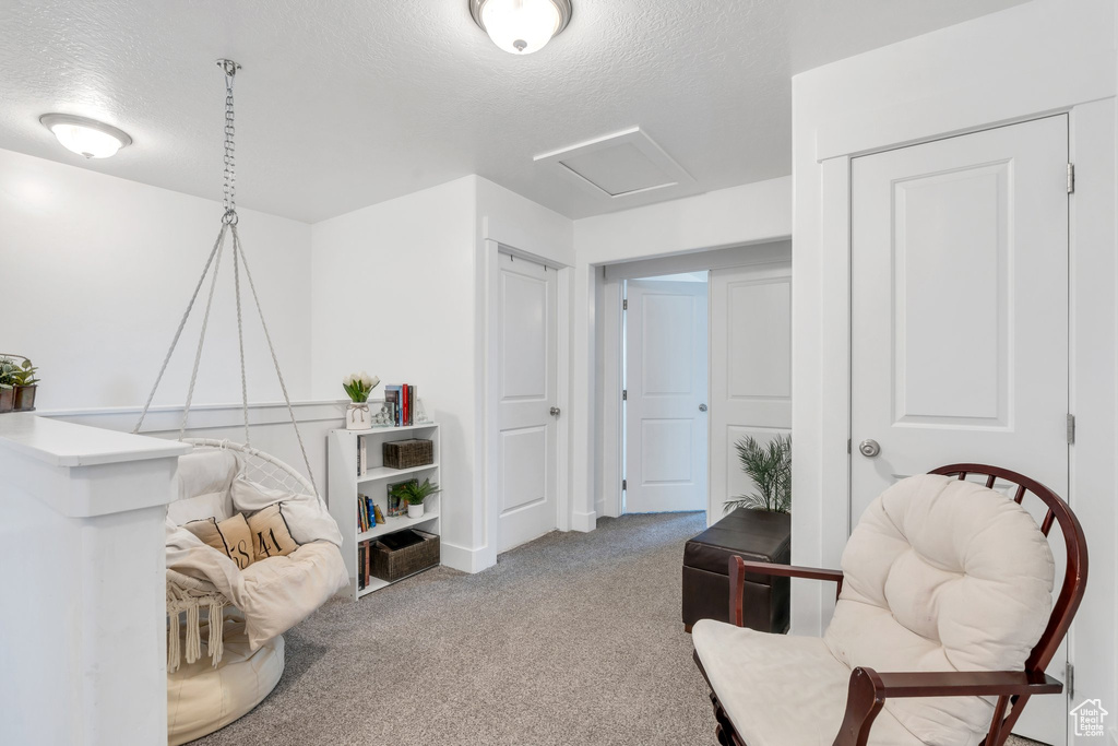 Sitting room featuring a textured ceiling, attic access, and carpet floors