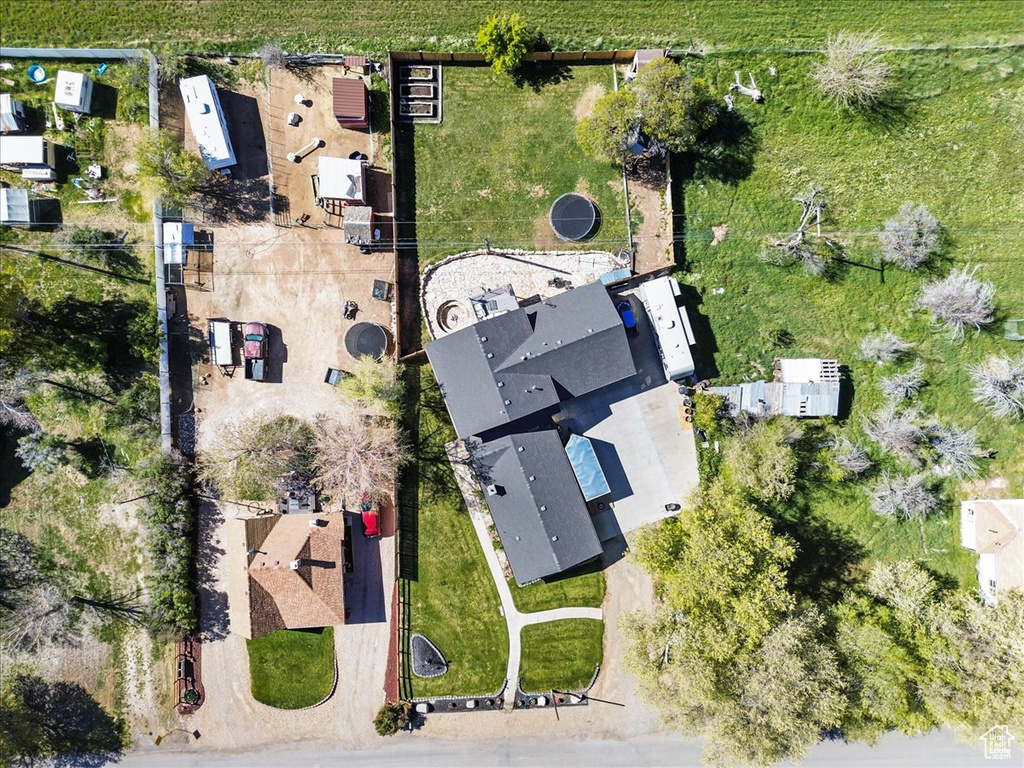 Bird\'s eye view