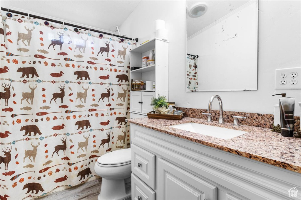 Full bath with toilet, vanity, wood finished floors, and a shower with shower curtain