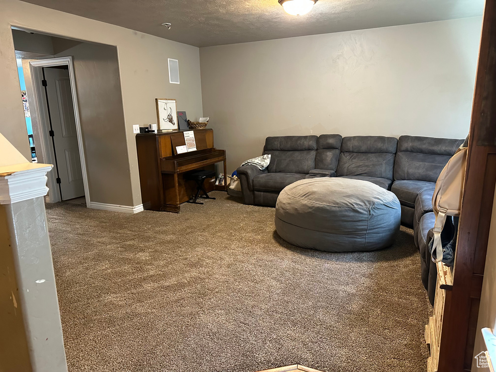 Living area featuring carpet flooring, baseboards, and a textured ceiling