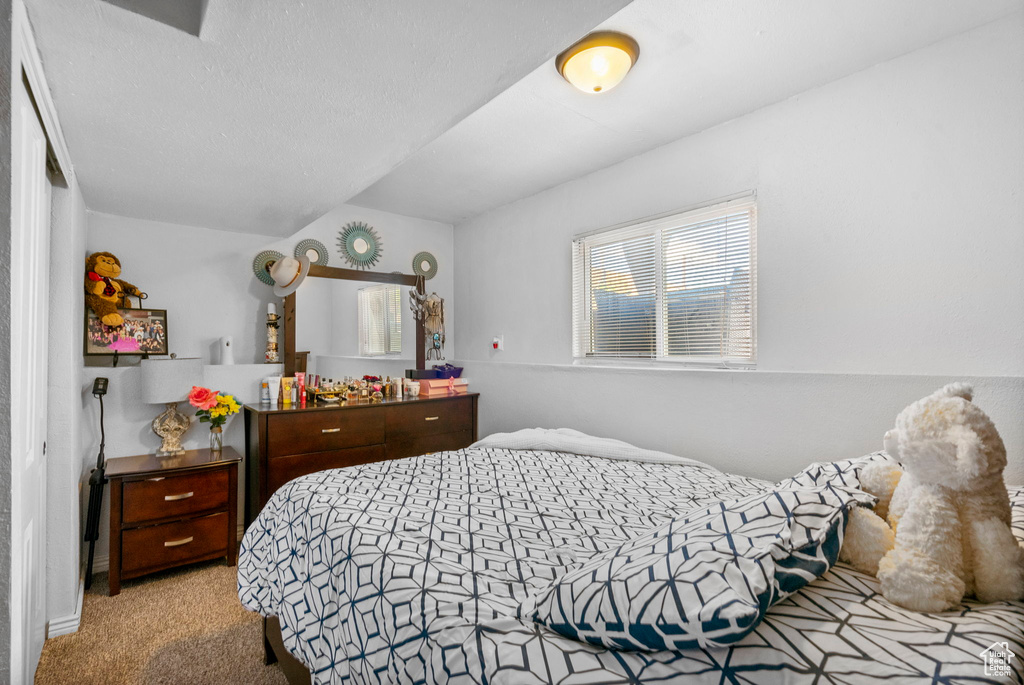 Bedroom with carpet floors