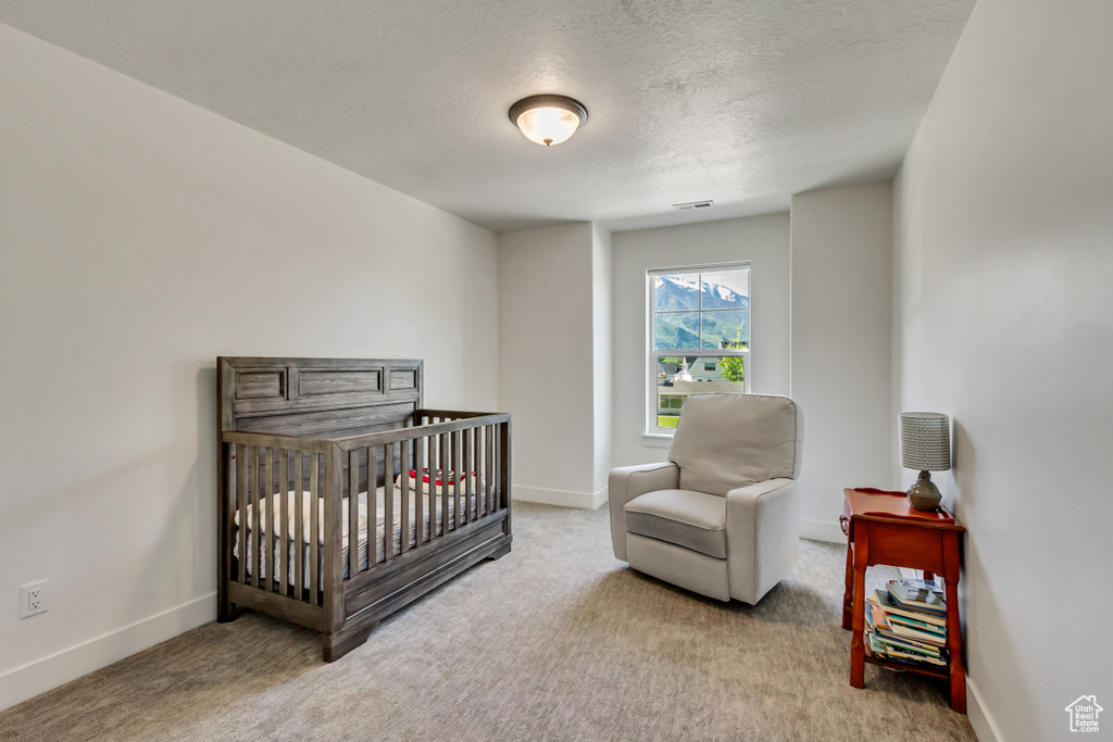 Carpeted bedroom featuring a textured ceiling, baseboards, and a nursery area