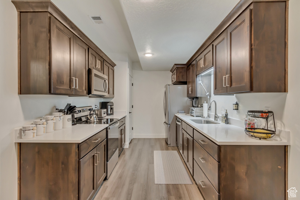 Kitchen featuring appliances with stainless steel finishes, a sink, light wood finished floors, dark brown cabinetry, and light countertops