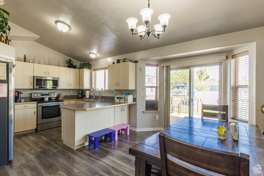 Kitchen with appliances with stainless steel finishes, a sink, dark wood-style flooring, lofted ceiling, and a chandelier