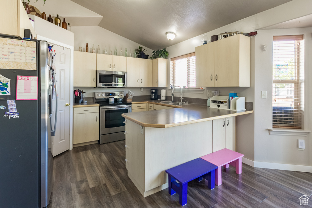Kitchen with appliances with stainless steel finishes, a sink, a peninsula, vaulted ceiling, and dark wood finished floors