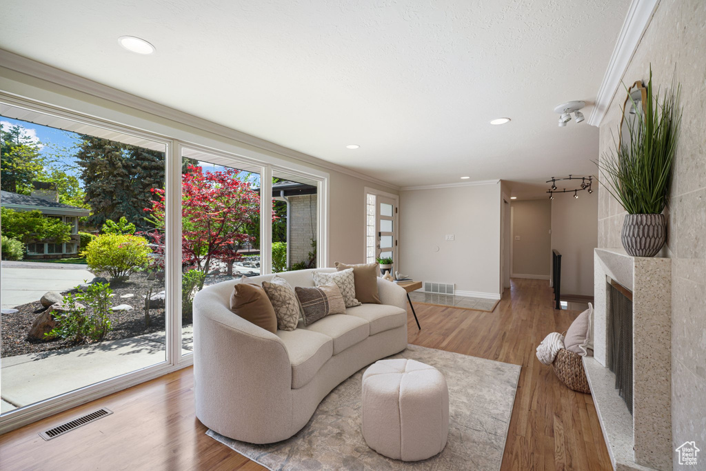 Living area featuring crown molding, healthy amount of natural light, baseboards, light wood finished floors, and recessed lighting