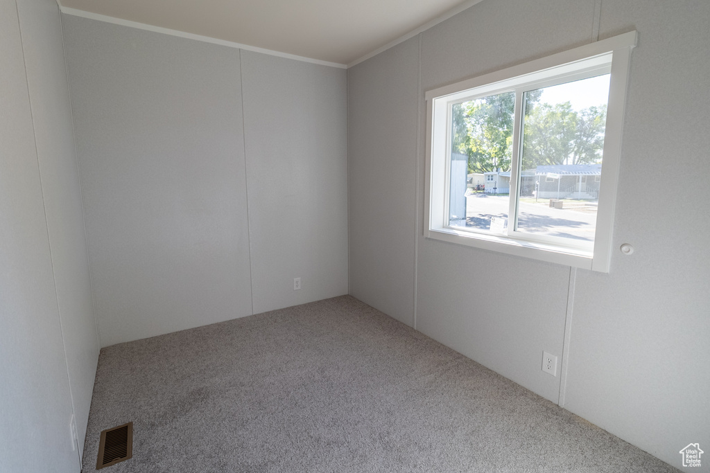 Carpeted empty room featuring crown molding