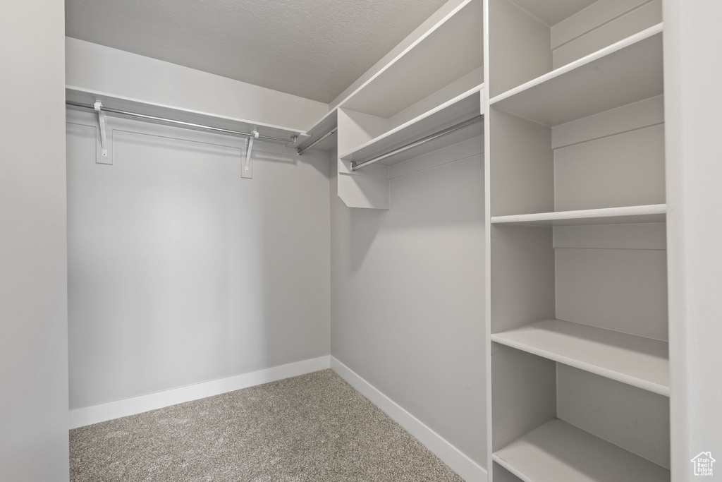 Spacious closet with carpet flooring