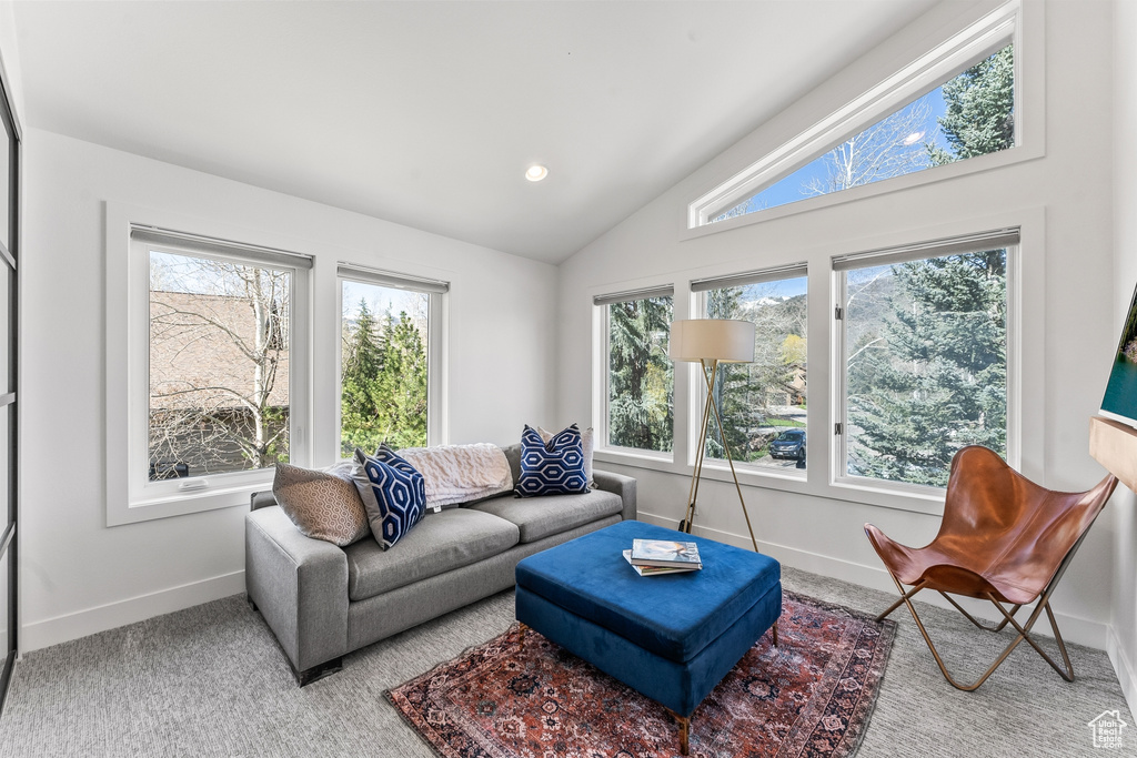 Living room with healthy amount of natural light, baseboards, lofted ceiling, and carpet floors