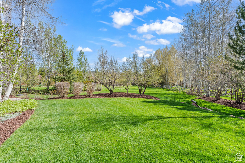 View of grassy yard