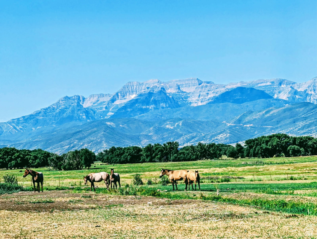 1200 N WARM SPRINGS RD Midway, UT 84049
