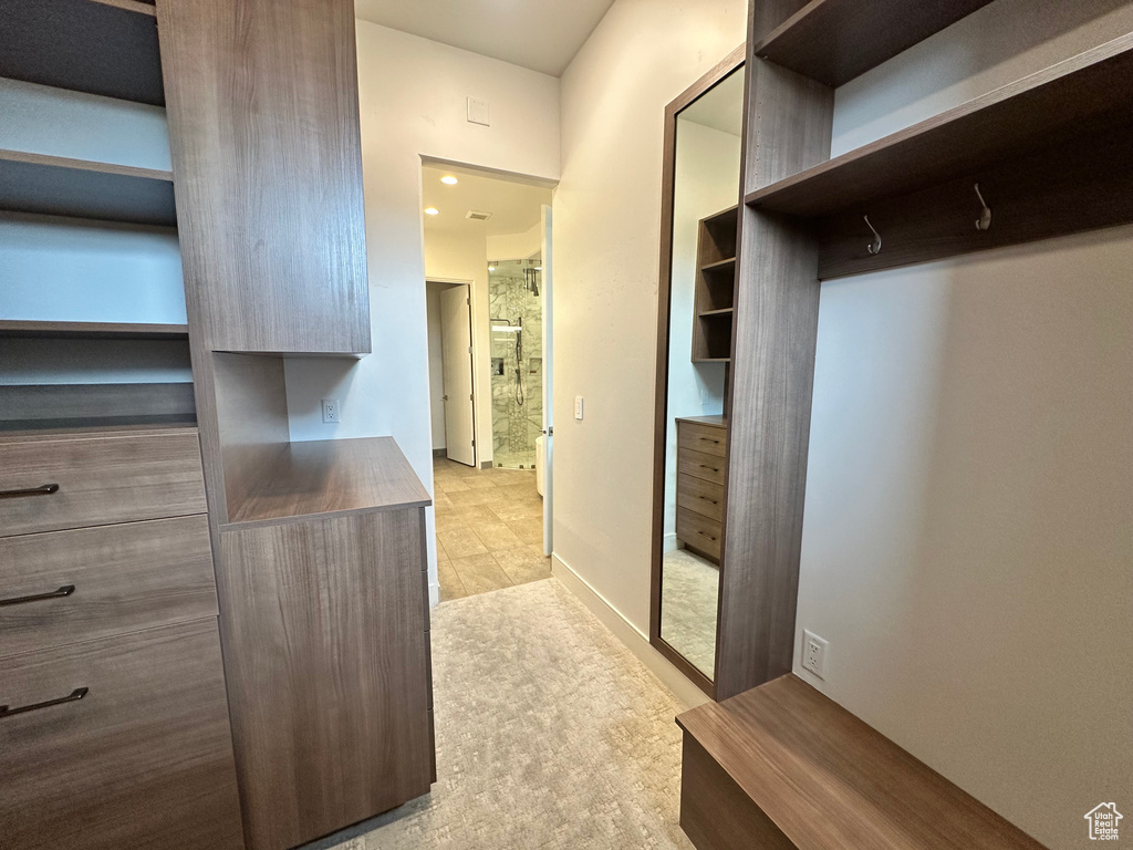 Spacious closet featuring light carpet