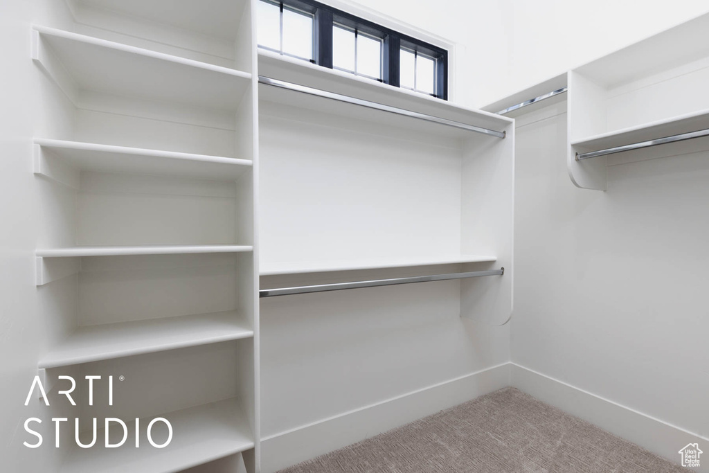 Spacious closet featuring carpet flooring