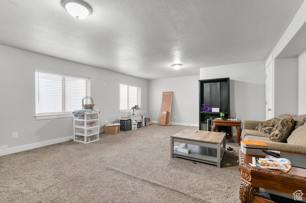 Living area with a textured ceiling, carpet floors, and baseboards