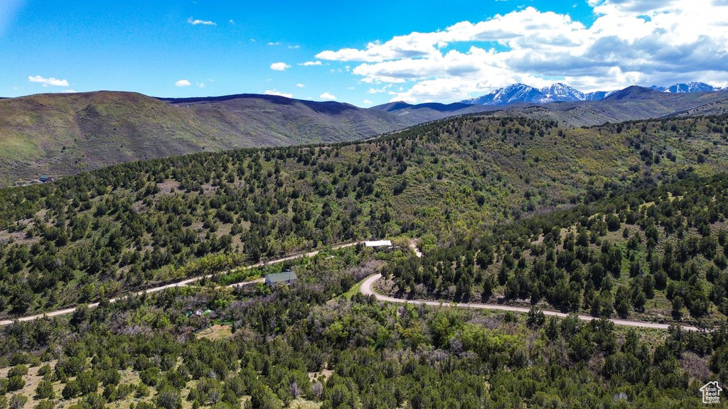 View of mountain backdrop featuring a forest