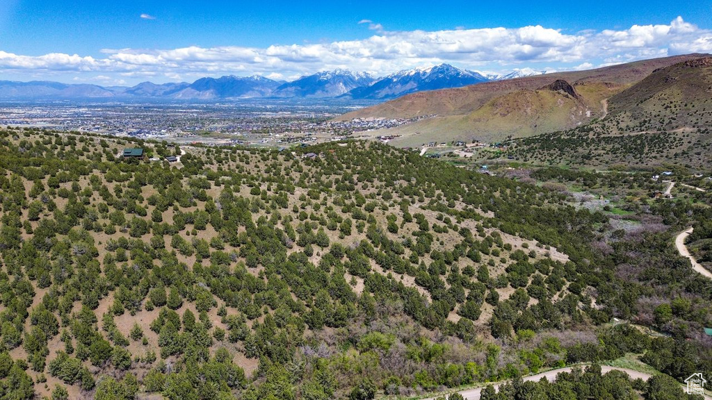 View of mountain background