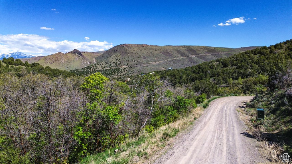 View of mountain backdrop with a heavily wooded area