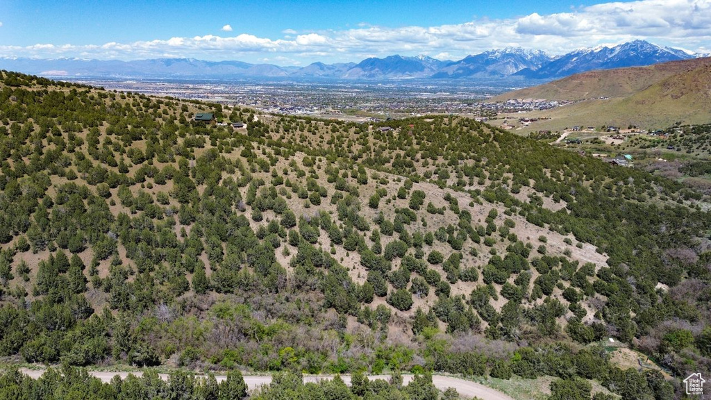 Bird\'s eye view of a mountainous background