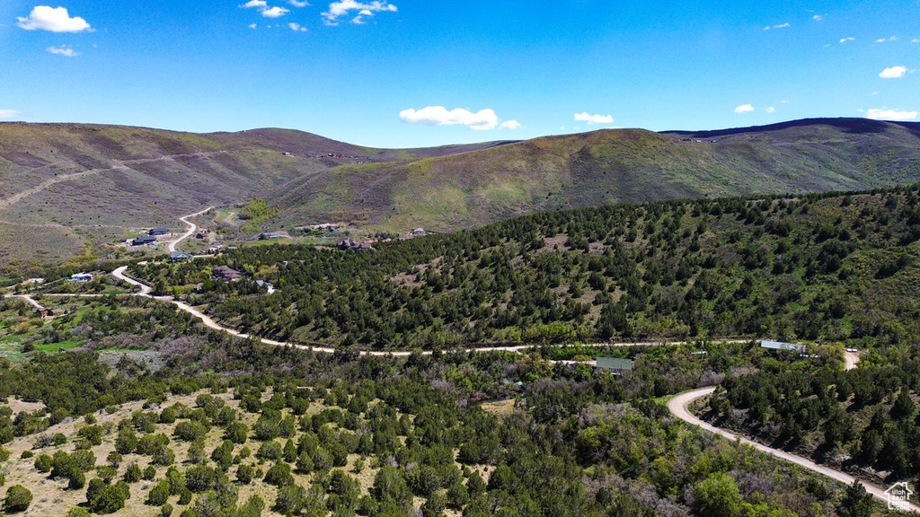 Mountain view featuring a heavily wooded area
