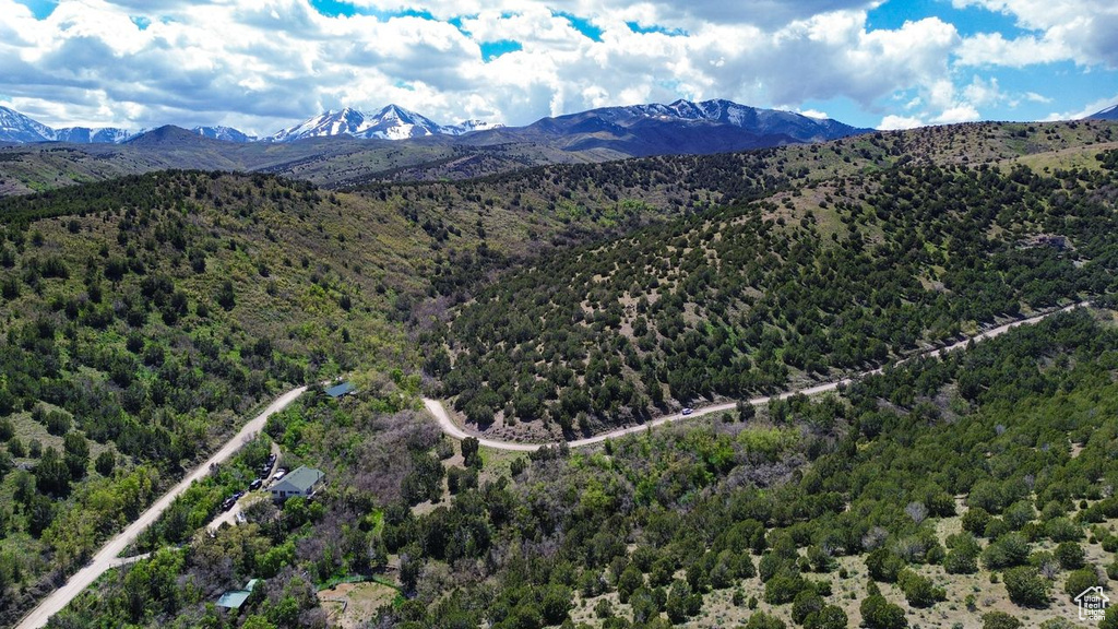 Drone / aerial view of a forest and mountains