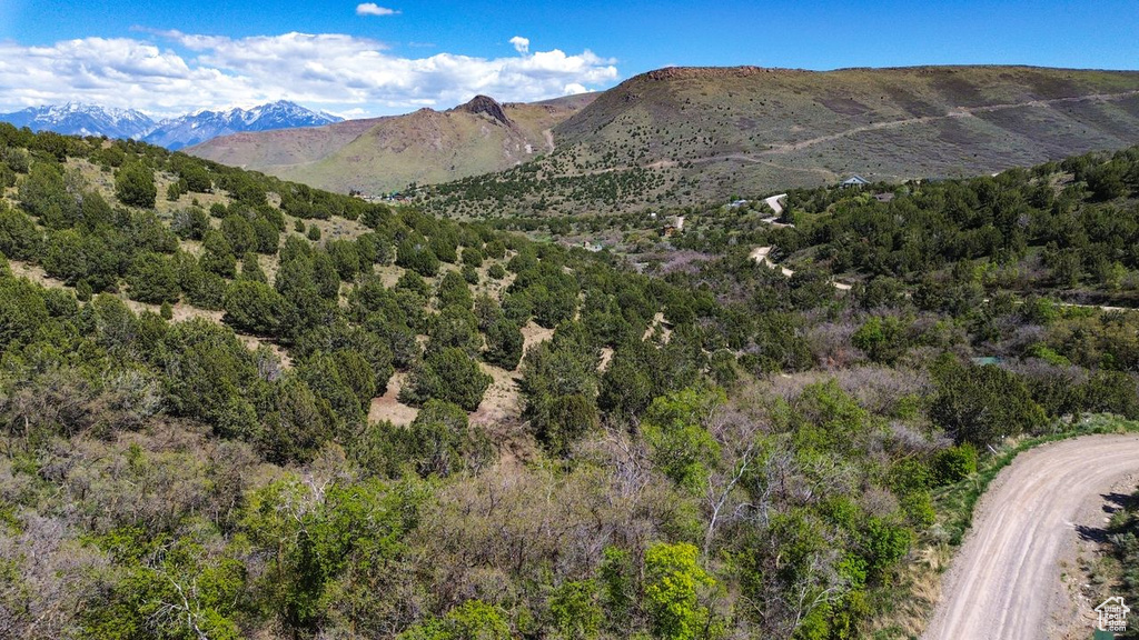 Mountain view