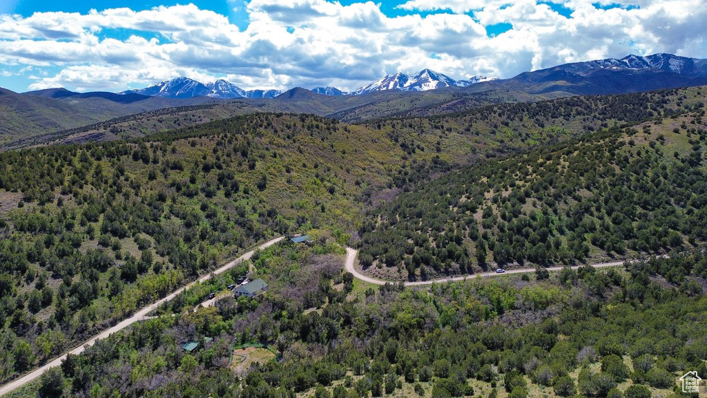 Bird\'s eye view of a heavily wooded area and a mountainous background