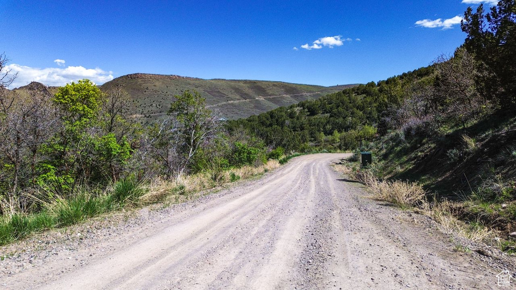 View of dirt / gravel road with a mountain view and a wooded view