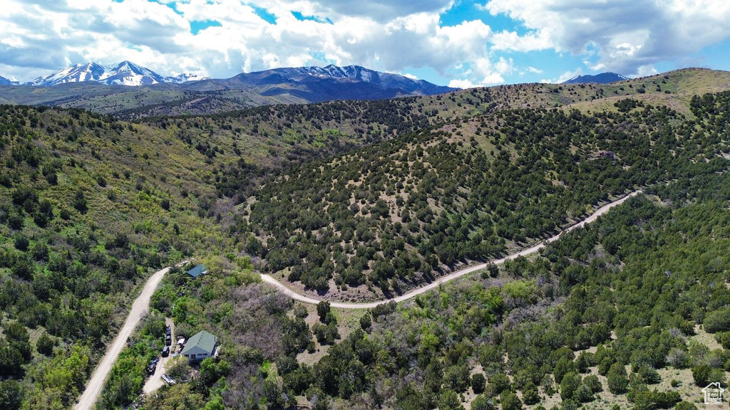Aerial view of a heavily wooded area and mountains