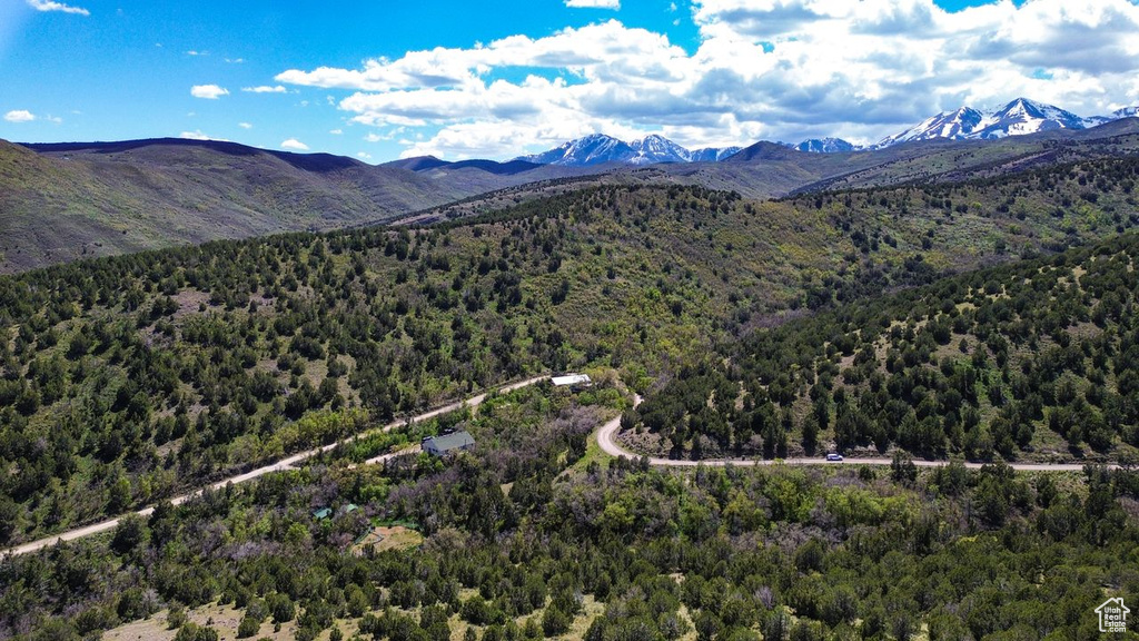 View of mountain backdrop featuring a forest