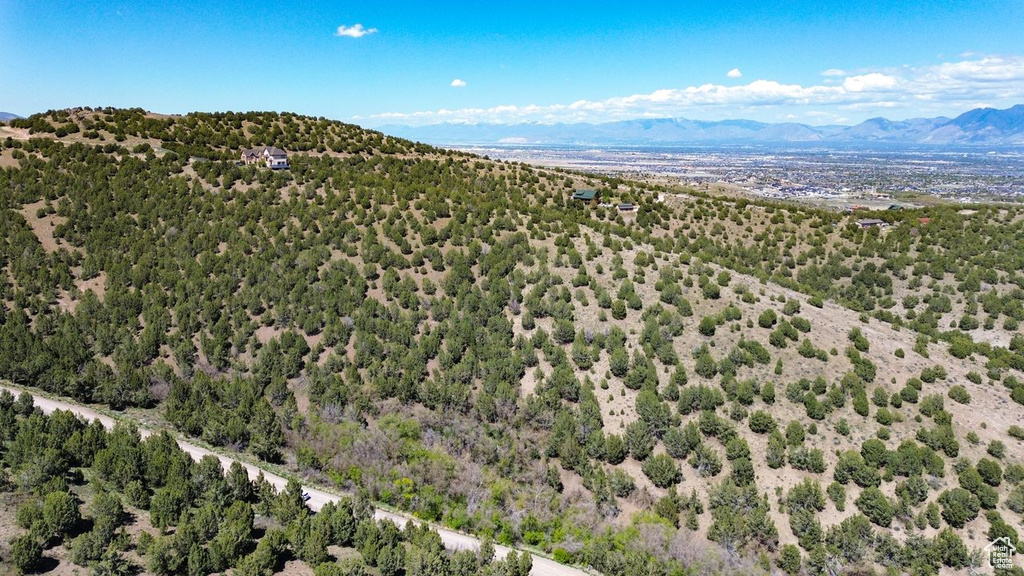 Bird\'s eye view of mountains