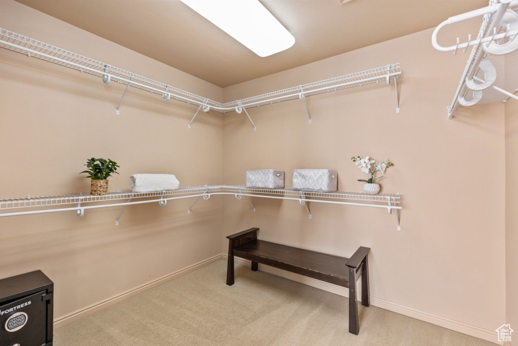 Spacious closet featuring carpet flooring