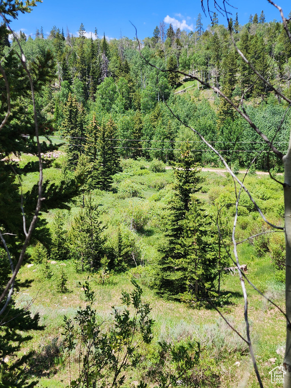 View of woods