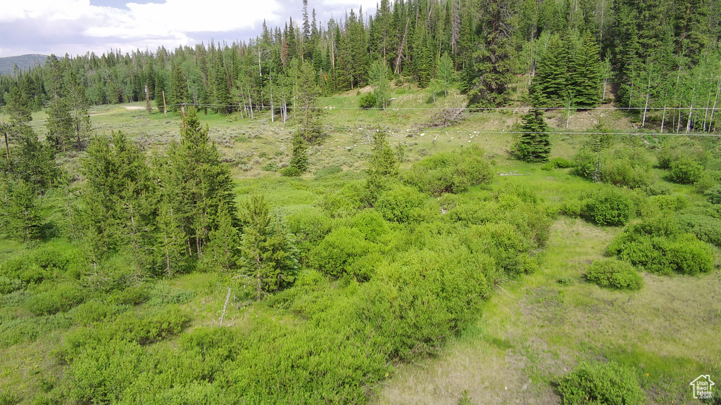 Aerial view of a heavily wooded area