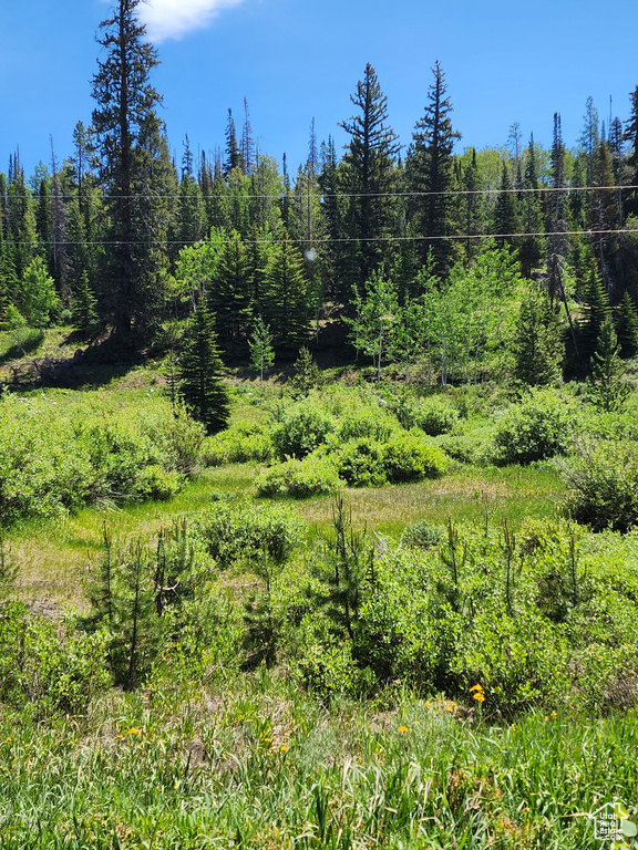 View of wooded area
