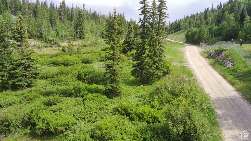 Drone / aerial view of a heavily wooded area