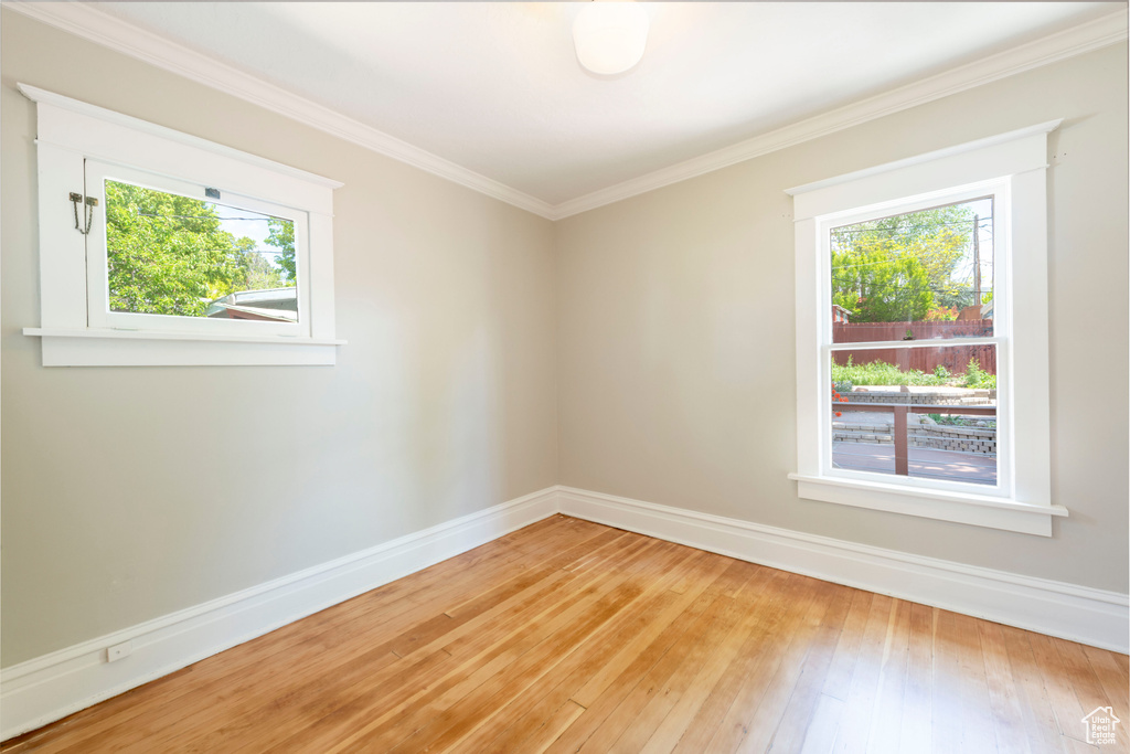 Spare room featuring plenty of natural light, baseboards, light wood-type flooring, and crown molding